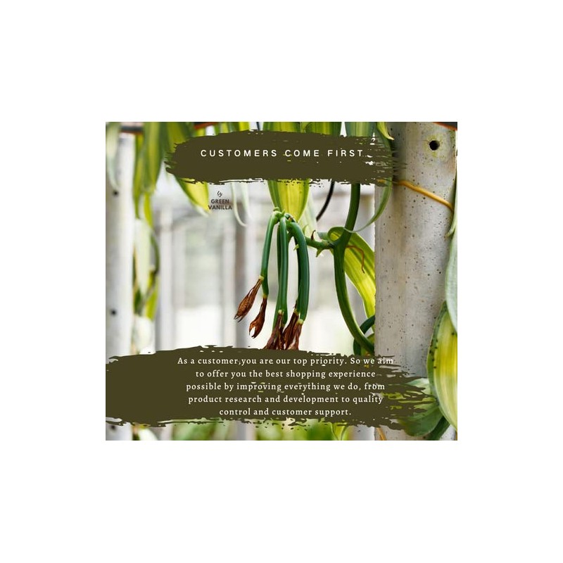 10 Madagascar Vanilla Beans - Grade A Making Pure Vanilla