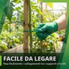 KAHZOR 100 pezzi Piante Regolabile Fascette, Fascette Verdi per Piante,