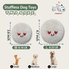 Veinbuty Squeaky Dog Balls,2 in 1 Interactive Plush Dog Toy