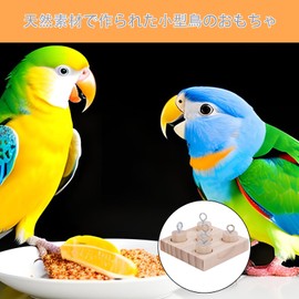 Pure Seek Bird Toy, Educational Parakeet Toy, Literary Bird, Bird Toy, Small Chewing Toy, Educational Toy, Training Toy, Stress Relief