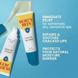 Burts Bees Valentines Day Gifts, Rescue Lip Relief with Shea Butter and Echinacea, 100% Natural Origin, 0.35 Ounces