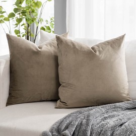 QUAFOO Stone Couch Velvet Throw Pillow Covers 22x22 inch Set of 2 with Zipper Decorative Luxury Soft Solid Rectangle Cushion Covers Case for Sofa Bed Living Room Car