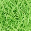 Zhzrche Green Raffia Paper Shredded Paper Filler Easter Grass for