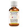 Greenwood Essential Essential Oil Kit 100% Natural Therapeutic Grade 10ml