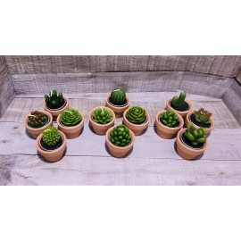 Handmade 12 Pcs Succulent Cactus Tealight Candles Baby Shower Plant Candles Bridal Shower