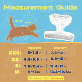 Harness for Cats (Black, XXS)