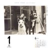 Dog Turning 2026 Calendar Refills Day Dive CK-D26-02