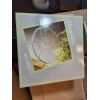 Arcoroc Set Of 4 Arcoroc Canterbury Dinner Plates Floral Clear