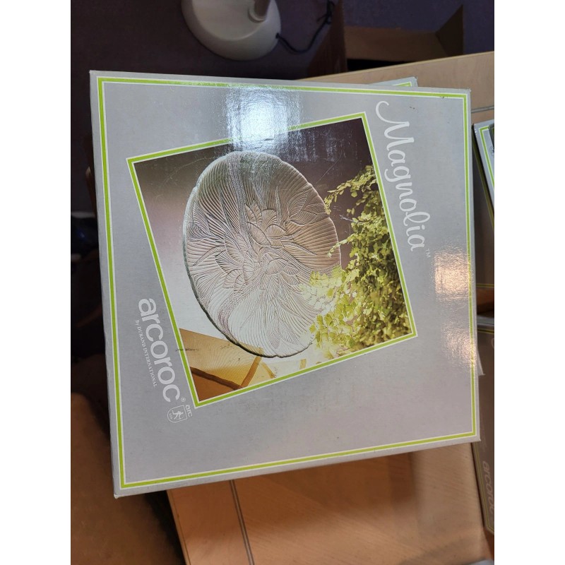 Arcoroc Set Of 4 Arcoroc Canterbury Dinner Plates Floral Clear
