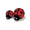 Dimensions Round and Woolly Ladybug Felting