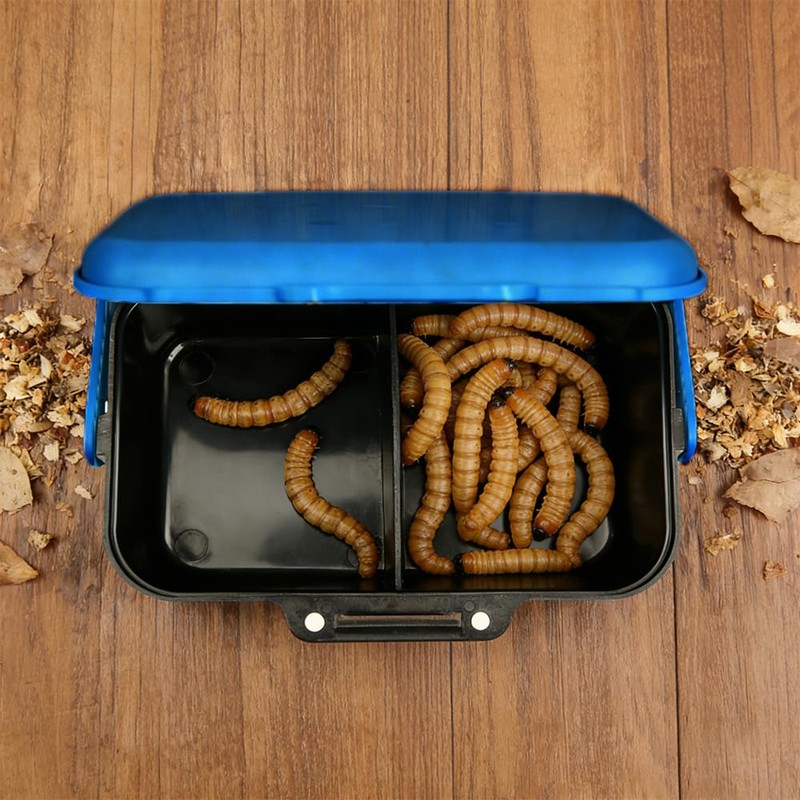 Small Size Mealworms Breeding Box Mealworms Feeding Kit to Breed