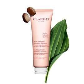 Clarins (현대백화점)클라랑스 젠틀 포밍 클렌저 (Hyundai Department Store) Clarins Gentle Foaming Cleanser