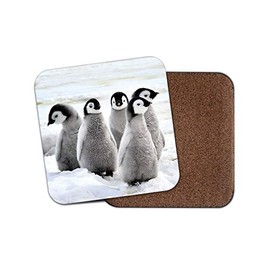 1 x Cute Penguin Drinks Coaster - Animal Kids Funny Zoo Ice Snow #8554