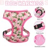 Beirui Cute Girl Dog Collars, Harnesses & Leashes Set -