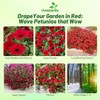 Outsidepride Red Velour Tidal Wave Petunia Seeds - 15 Pcs
