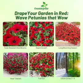 Outsidepride Red Velour Tidal Wave Petunia Seeds - 15 Pcs Annual, Vibrant Blooms, Spreading Petunia Seeds for Planting Outdoors, Ideal for Pollinator-Friendly Garden Beds & Containers (AAS Winner)