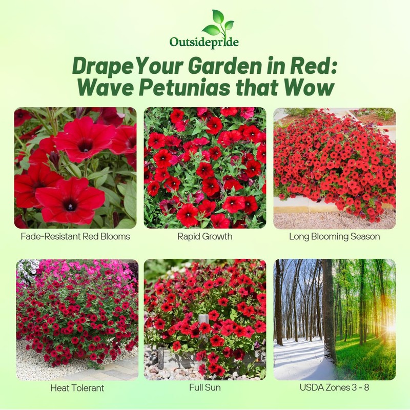 Outsidepride Red Velour Tidal Wave Petunia Seeds - 15 Pcs