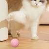 Gravity Intelligent Rolling Ball Interactive Pet Toy Ball Self Propelled