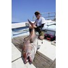 Nature Boys Metal Jig Spin Rider Deep Spin Rider Deep
