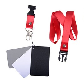 Set of 3 Grey Cards Grey/White/Black in Credit Card Format (Size S) with Lanyard
