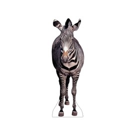 Cardboard People Zebra Life Size Cardboard Cutout Standup