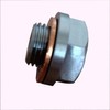 Filling and Drain Plug 1/4 Inch for Garden Pumps/Domestic Waterworks