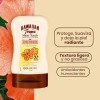 Protector Solar Hawaiian Tropic Sheer Touch Fps50 120 Ml