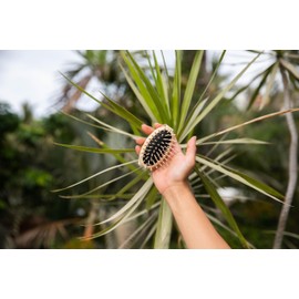 TEK - Scalp Massage Brush in Ash Wood with Strap, Ideal for Washing Air and Application of Anti-Hair Loss Lotions - 8.5 x 5 cm