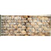 Morton & Basset Spices, Coriander Seed, 1.2 Ounce