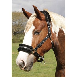 Rhinegold Logo Headcollar Fleece Trim - Pony - Black