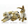 Black Tailed Rabbit Plush Soft Toy 23cm