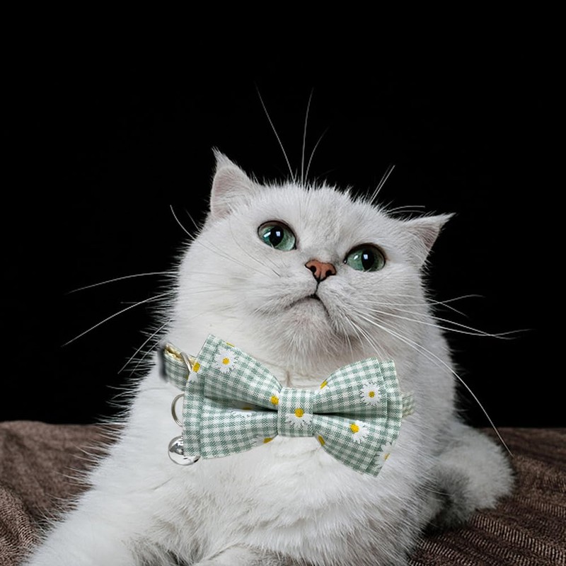 Plaid Cat Collar with Bow Tie Bell Breakaway Daisy Kitten