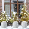 Shyllin Pot Protection Plants Frost Protection Winter 50 x 45