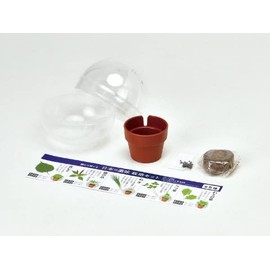 Seishin Pottery GD-926 Growing Capsules, Condiments, Size: Approx. W 43.9 x D 9.8 x H 86.6 inches (109 x 25 x 219 cm)