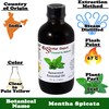 Essential Depot Spearmint Essential Oil - GC/MS Tested - Supplied