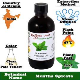 Essential Depot Spearmint Essential Oil - GC/MS Tested - Supplied in 4 oz. Amber Glass Bottle with Black Phenolic Cone Lined and Safety Sealed Cap