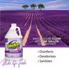 OdoBan Disinfectant Concentrate and Odor Eliminator, Made in the USA,