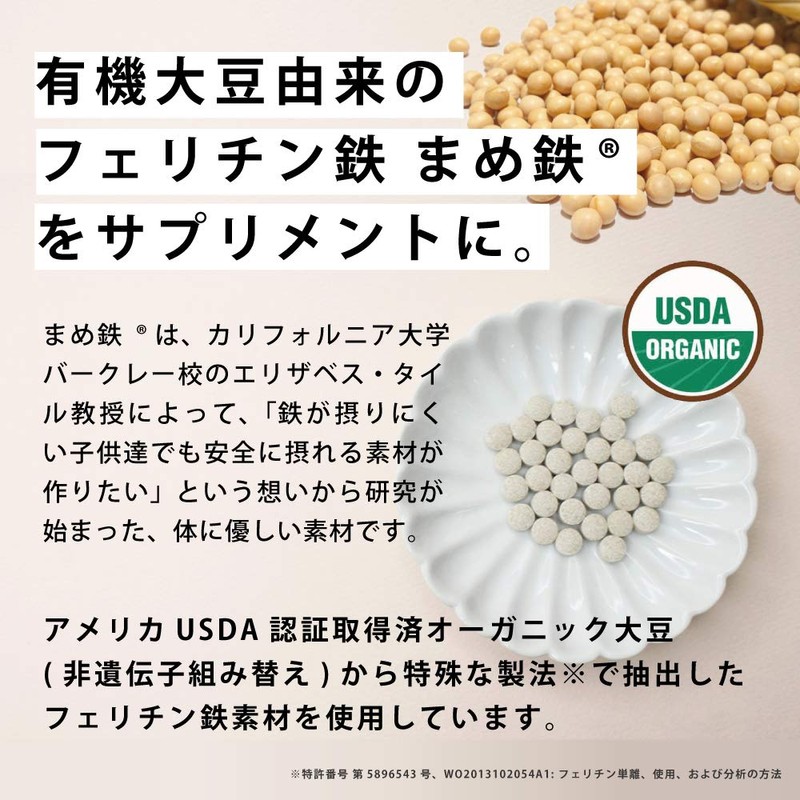 withmoon Ferritine Iron Supplement (Natural Type)