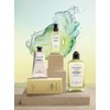 L'Occitane Sedra Perfumed Shower Gel, 8.5 fl oz (250 ml),
