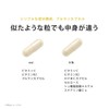noi ビタミンC 増量版 3000mg サプリメント 3袋セット 国産