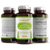 KSM-66® Ashwagandha & Rhodiola Rosea Blend | Adaptogen Complex for