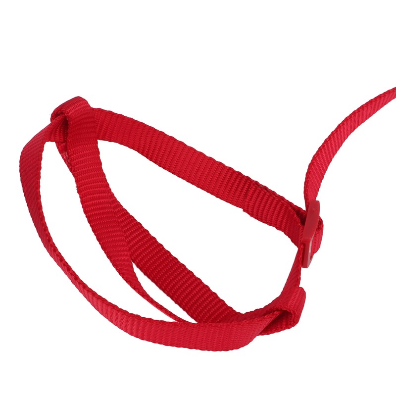 Bird Leash Bite Resistant Adjustable Parrot Flying Training Rope for