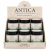 ANTICA Pomada de Eucalipto y Tomillo 45 g c/u, Frescura