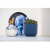Capi Europe - Flower Pot Ball Groove Colours - 17