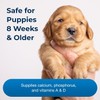 PetAg Sure Grow Supplement for Dogs & Growing Puppies 100