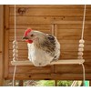 Bird Swing Wooden Hanging Chicken Swing Stand Suspension Bridge Budgie