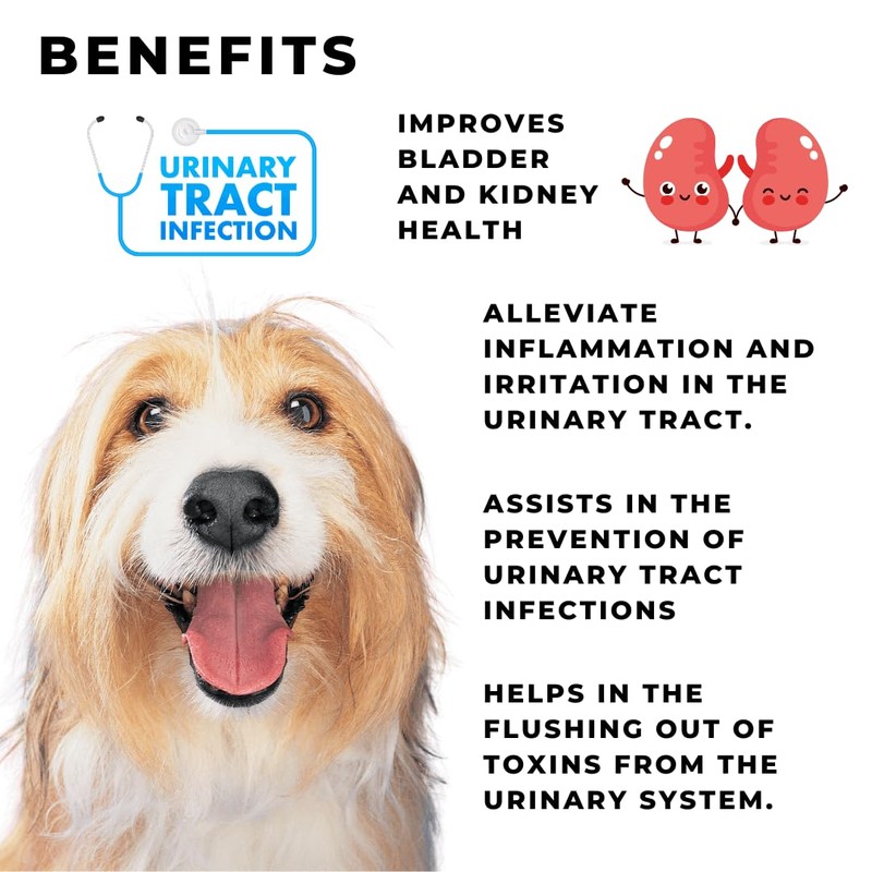 Cranberry Supplement For Dogs | Bladder, Kidney & UTI Support