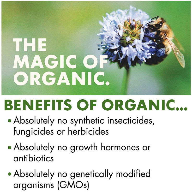 Cascadian Farm Organic Graham Crunch Cereal, 9.6 oz