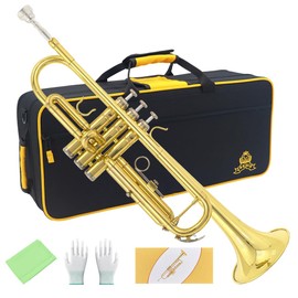 Trumpet Instrument,Band & Orchestra Musical Instruments for Beginners or Advanced Students,With trumpets case,Mouthpiece,Cloth and Gloves (Golden)