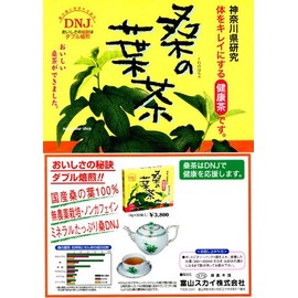 Mulberry Leaf Tea 0.2 oz (4 g) x 50 Tea Bags, 5 Packs